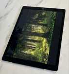 IPad Pro (12.9 inch) A1652 w dobrym stanie, wszystko działa