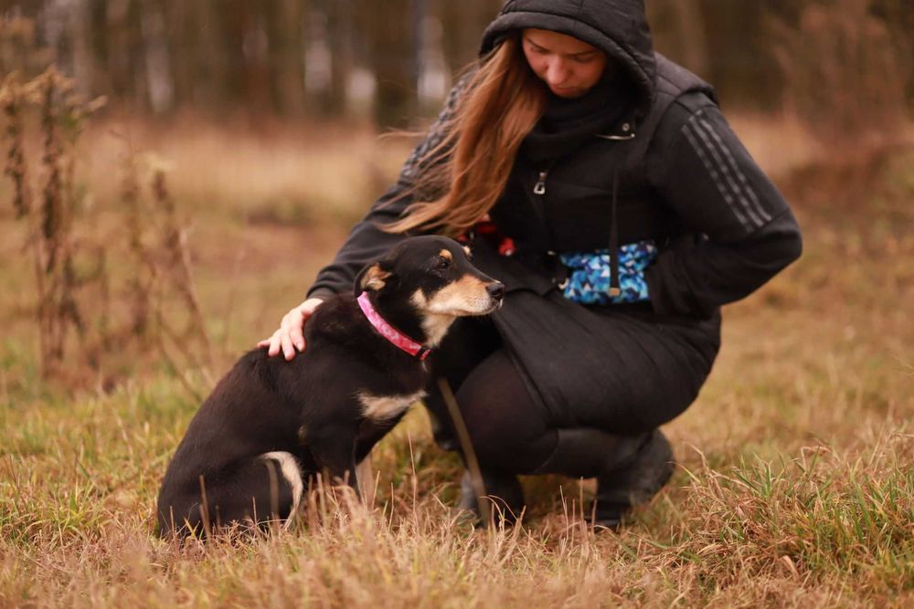 Czy czarna-podpalana delikatna suczka ma szansę na dom?