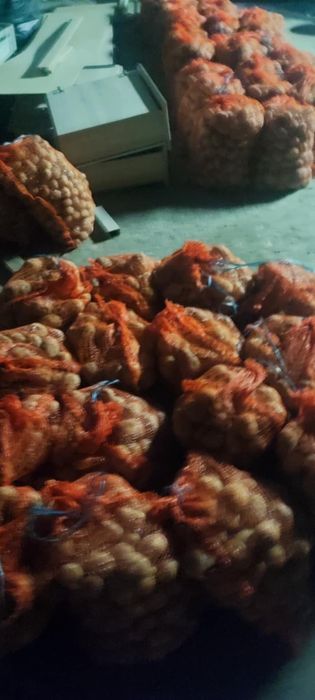 Eko ziemniaki bez chemii