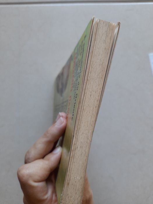 Livro "A vela n° 13"