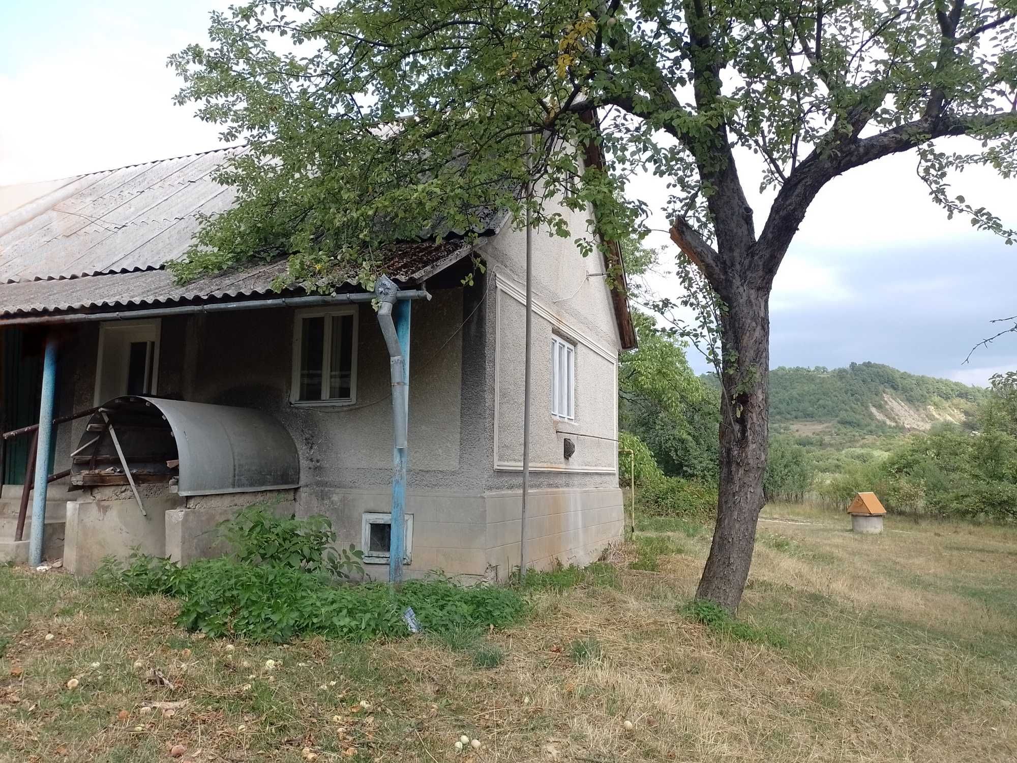 Будинок в Бедевлі приселок (Дубрівка)