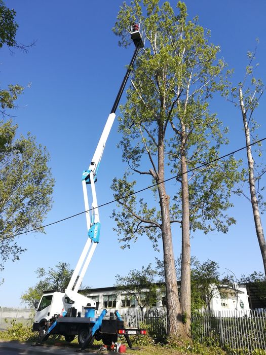 Zakładanie Trawnika Siatka na Krety Glebogryzarka Separacyjna Wycinka
