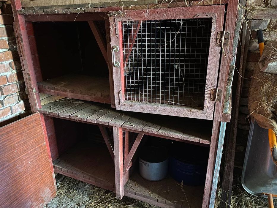 Клітка для кролів