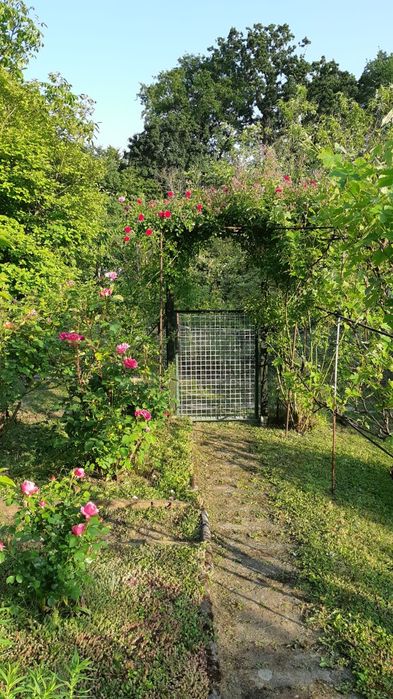 Działka rekreacyjna ROD Zielona Góra ROD