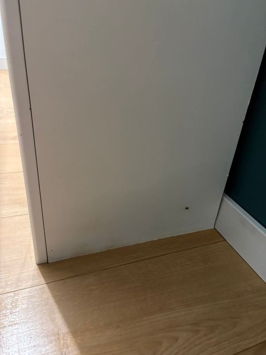 Szafa słupek  BRW Holten – biały/dąb Wotan – Plewiska