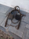 Kantara dla konia