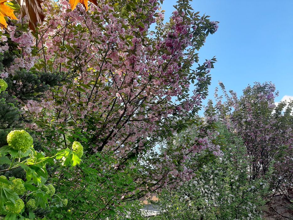 Продам участок на Гагарина, Материк