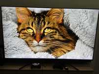 Telewizor Tcl 65c815 100hz