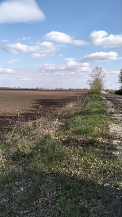 Ділянка 25га Обухівський р-н