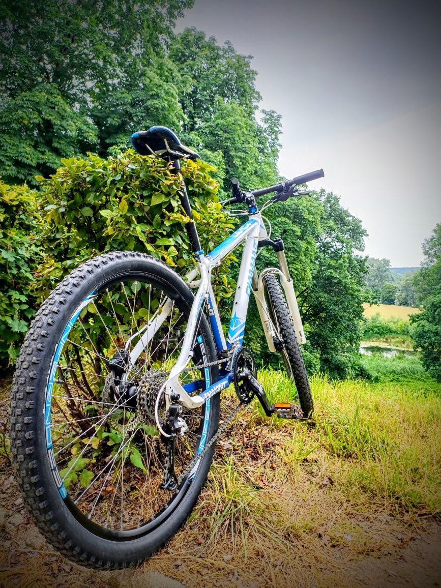 Diamant APEX T4 MTB 26"