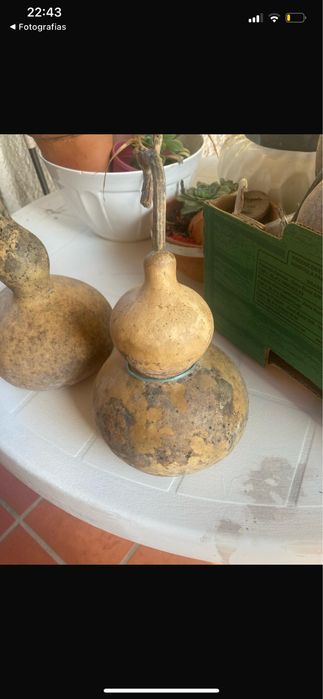 Cabaças para artesanato