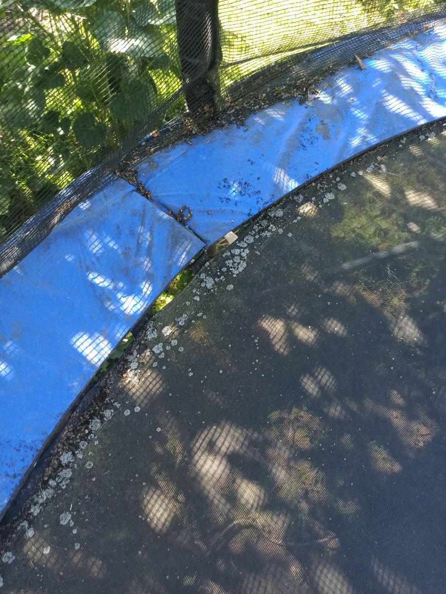 Trampolina ogrodowa 3m używana
