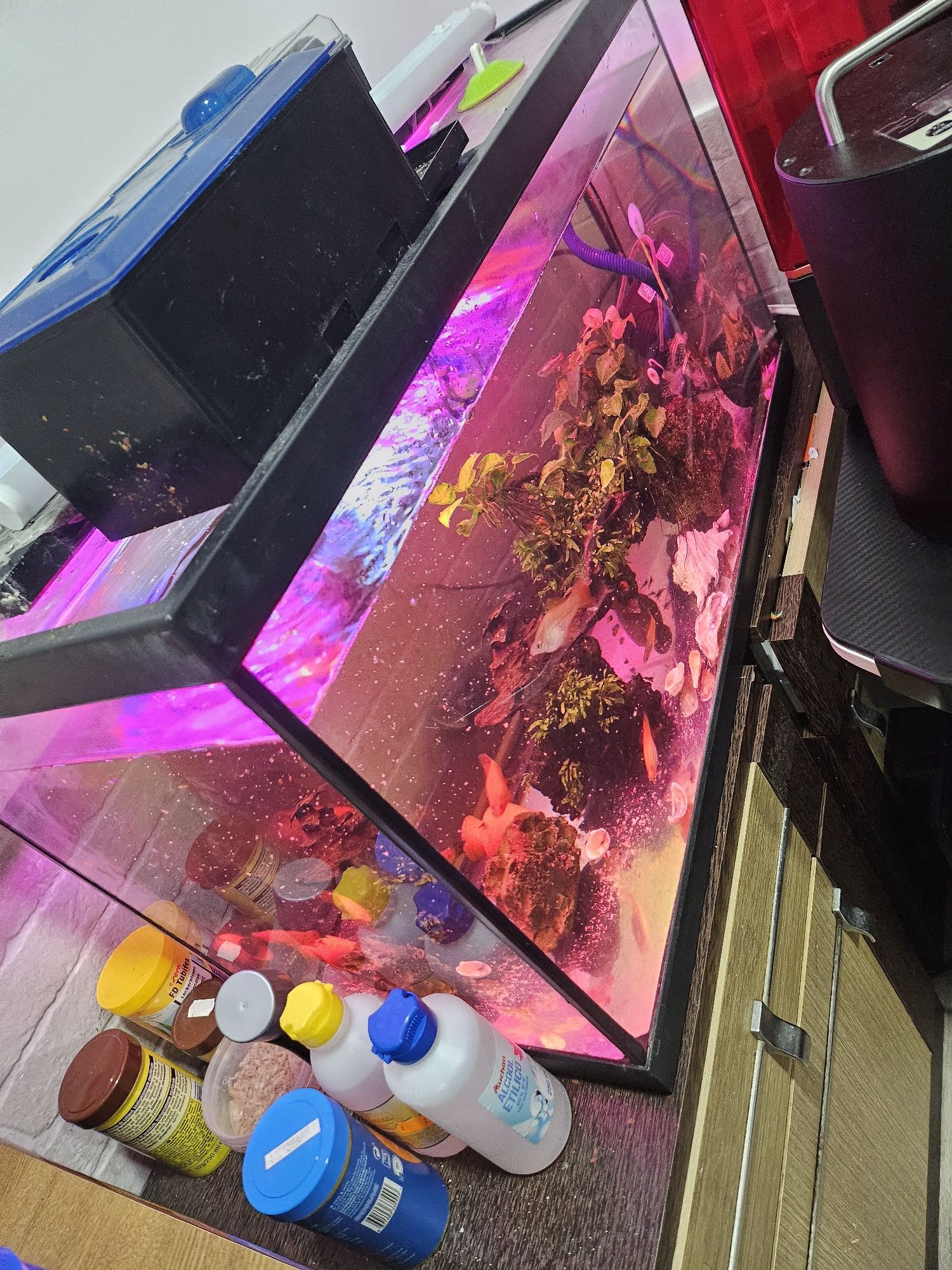 Aquário 80l completo