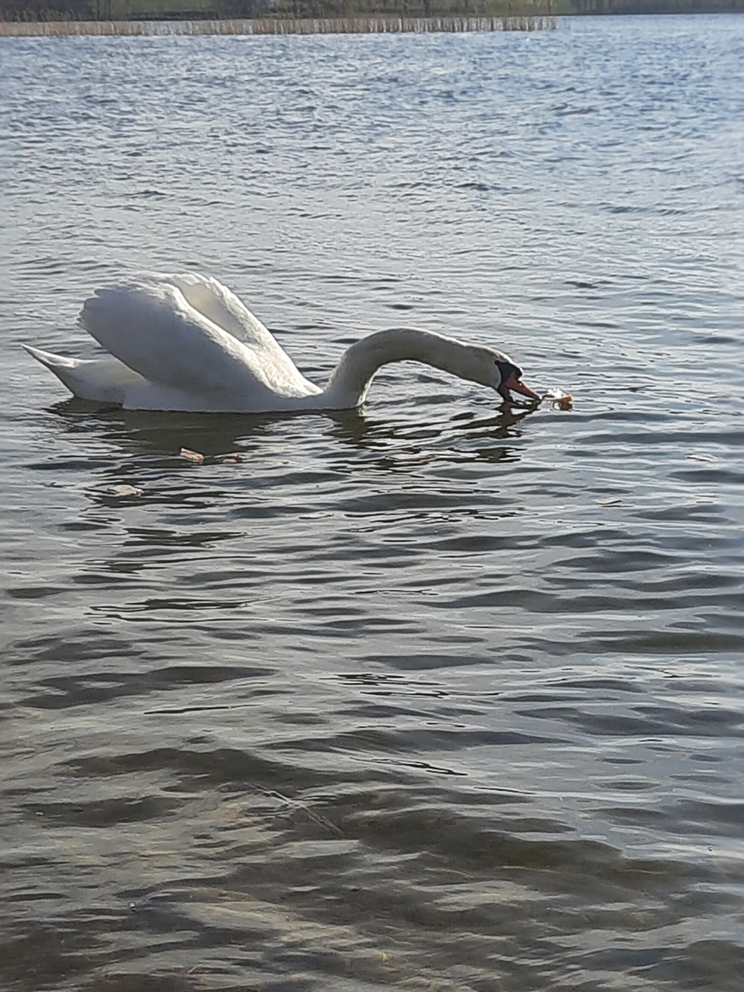 Domek przy samej plaży,wolne terminy