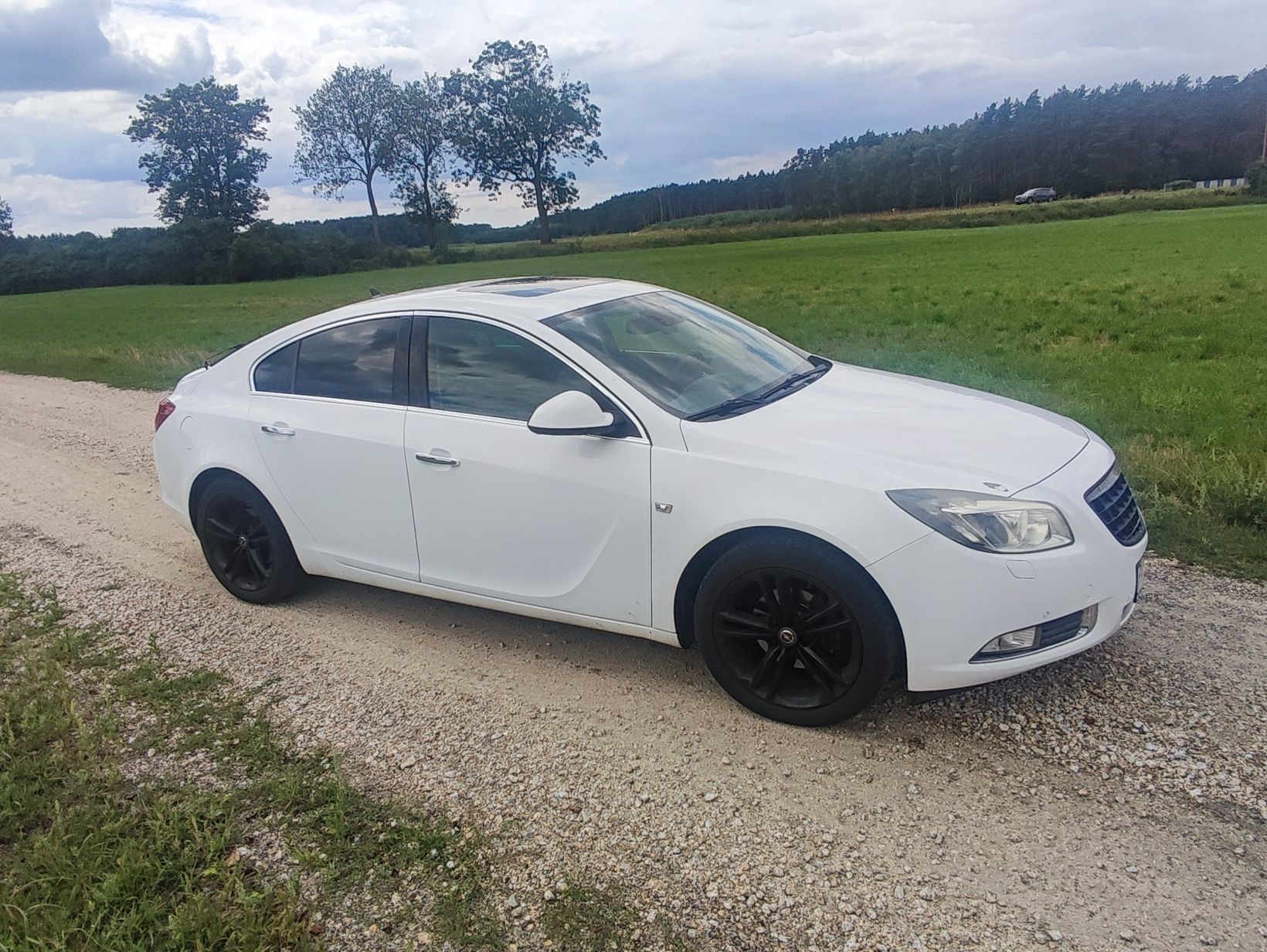 Opel Insignia 2010r. 2.0cdti 130KM