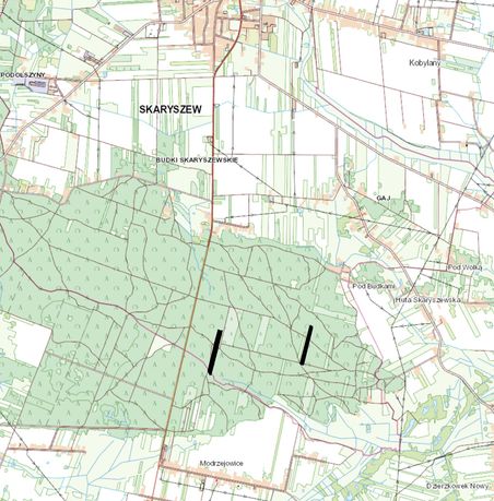 Działki leśne >2ha / las Skaryszewski / Skaryszew / nadleśnictwo Radom