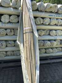 Dostępne od ręki !!  Tyczka bambusowa 26/28 295cm