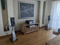Raidho D1.1. kolumny hi-end