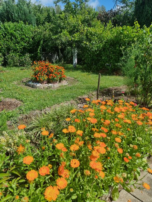 Działka Rod w Wilkanowie PRĄD I WODA