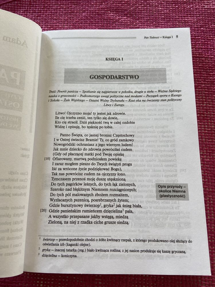 Pan Tadeusz Adam Mickiewicz Lektura z opracowaniem