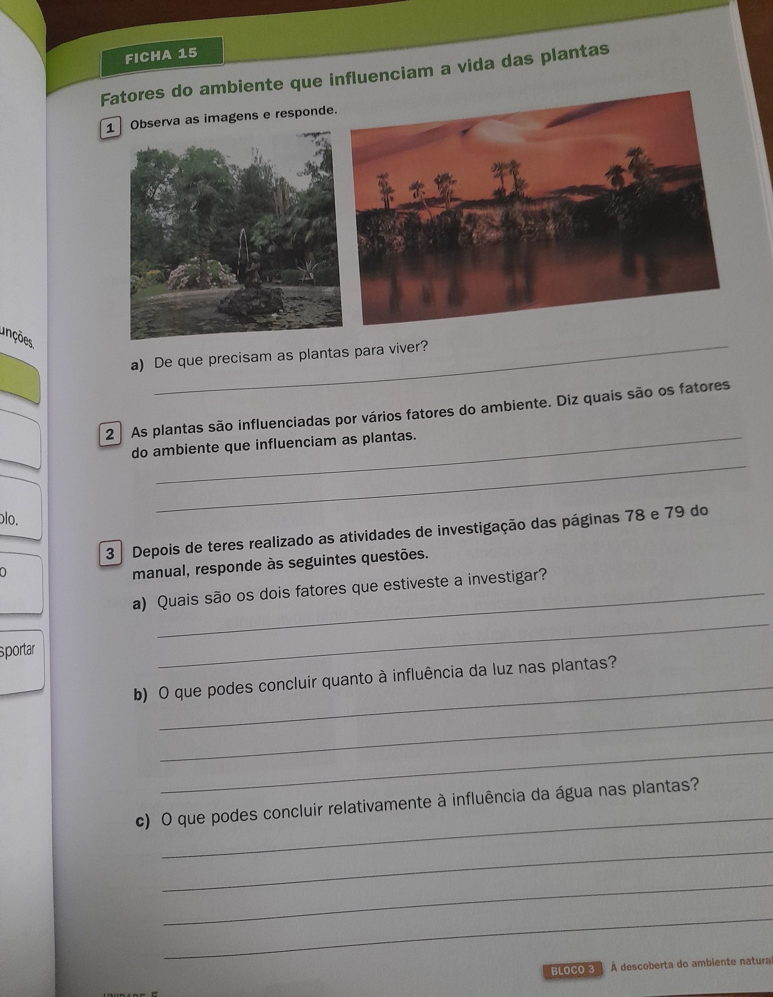 Caderno de Atividades 3° ano Estudo do Meio novo