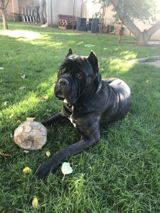 Парень ищет невесту