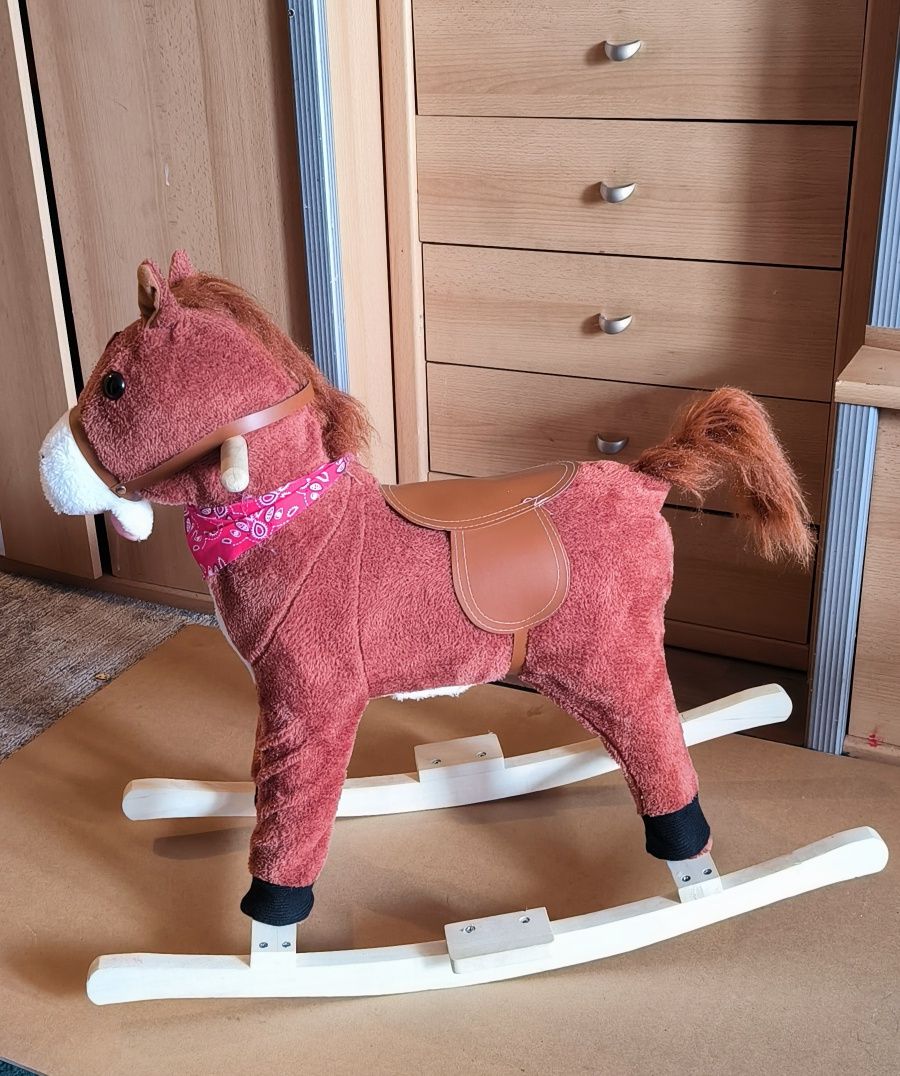 Konik na biegunach