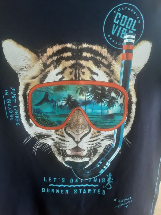 Koszulka chłopięca  C&A 146/152 stan bdb