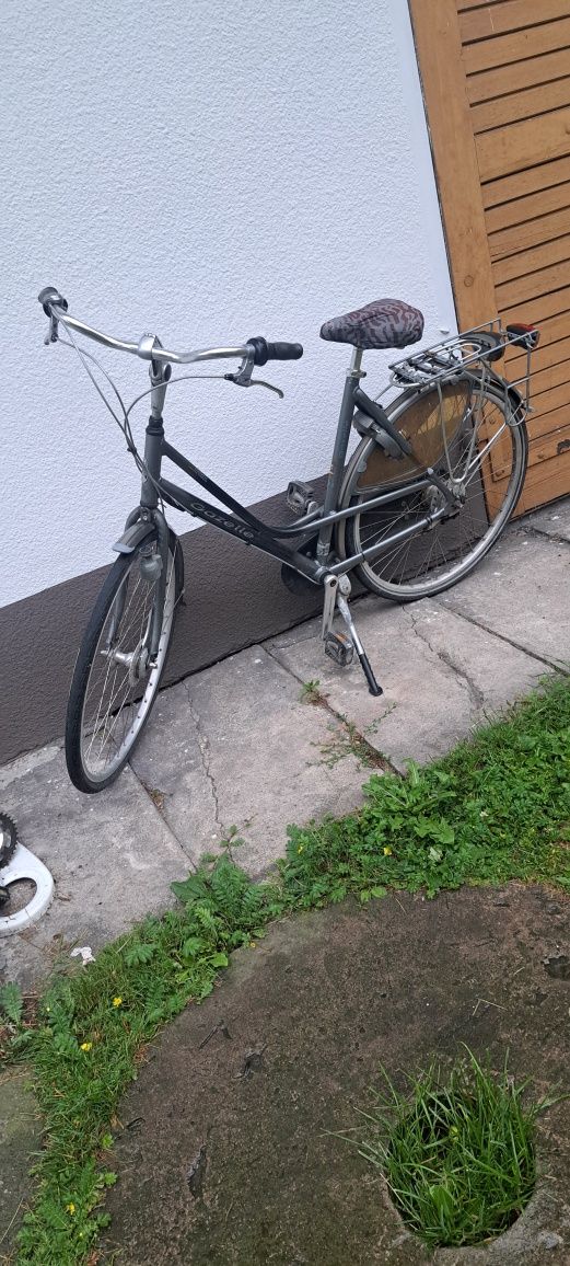 Rower Gazelle Davos