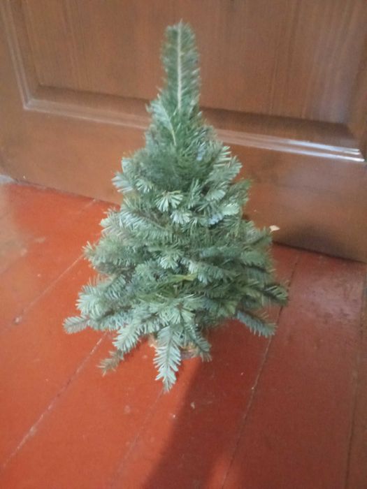 Ялиночки віночки