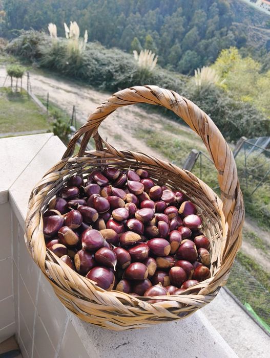 Castanhas de Castelões