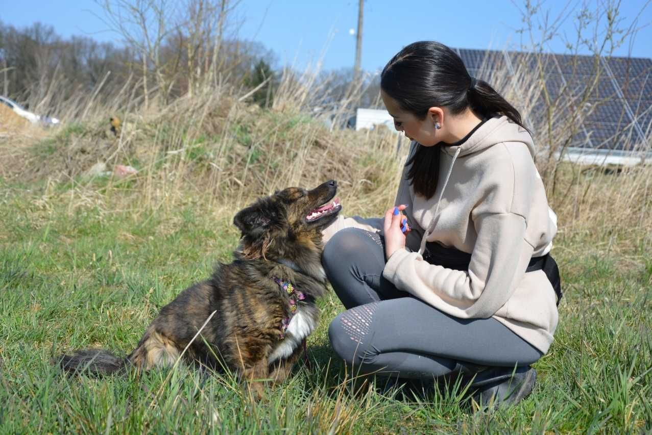 Spokojny Regi poleca sie do adopcji