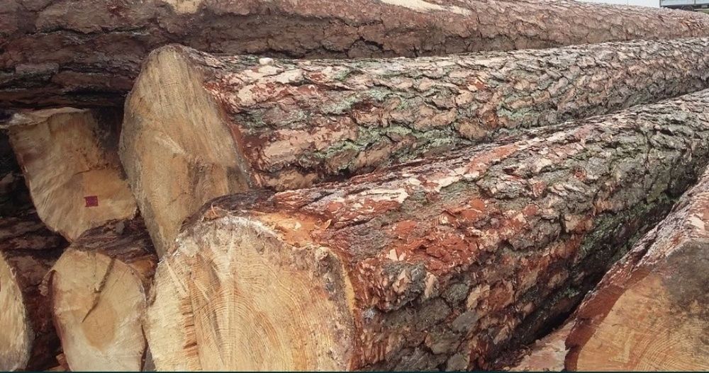 Więźba Dachowa Tarcica Deski Łaty Tartak