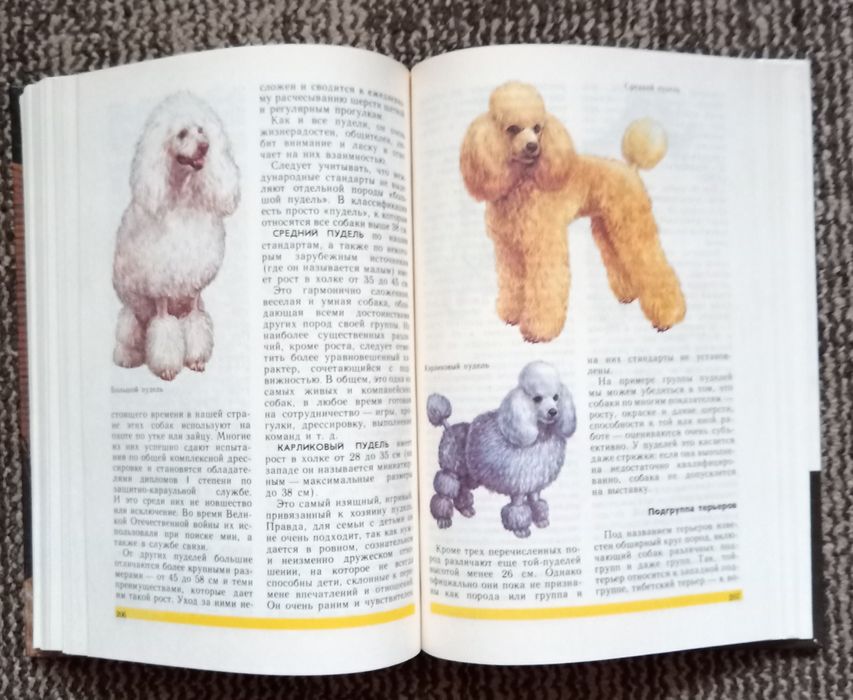 Друзья нашего дома. Самусенко Э.Г.