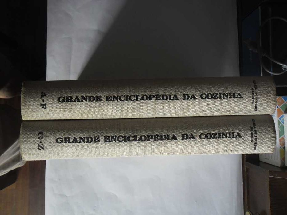 Maria Lourdes Modesto, Pantagruel, Cozinheira Ideal, Crónica Feminina