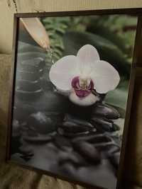 Obraz ZEN natura| kwiat | woda | kamienie #polecam! 84x63cm