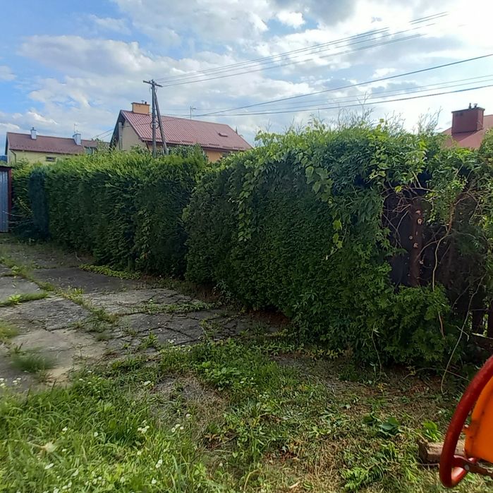 Usługi rębakiem do gałęzi, wycinka drzew, karczowanie działek