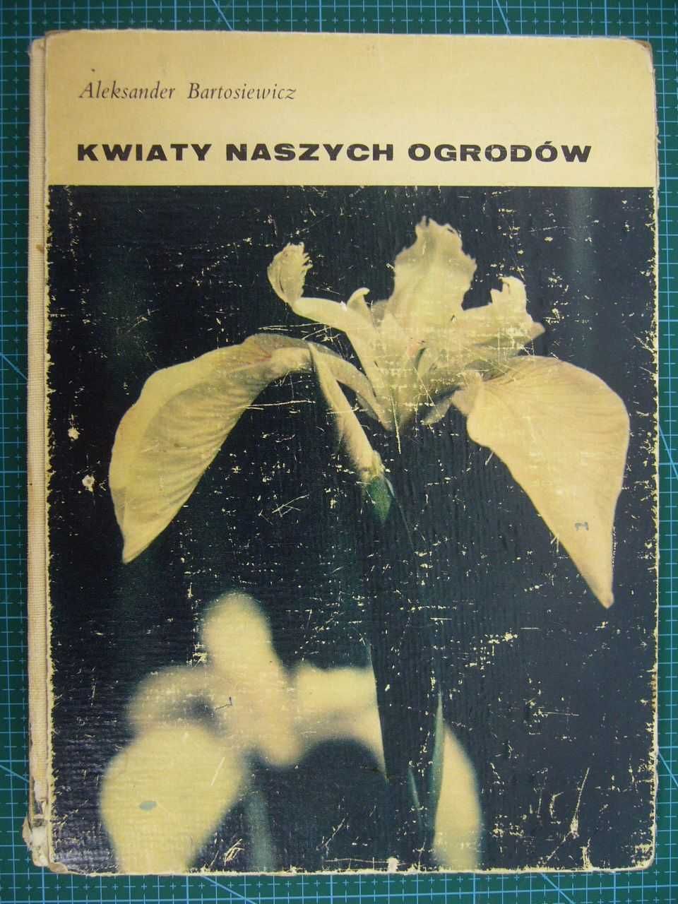 Kwiaty naszych ogrodów - Aleksander Bartosiewicz