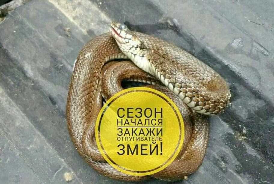 Відлякувач змій LS107 - Перемога над гадюками у 2024!