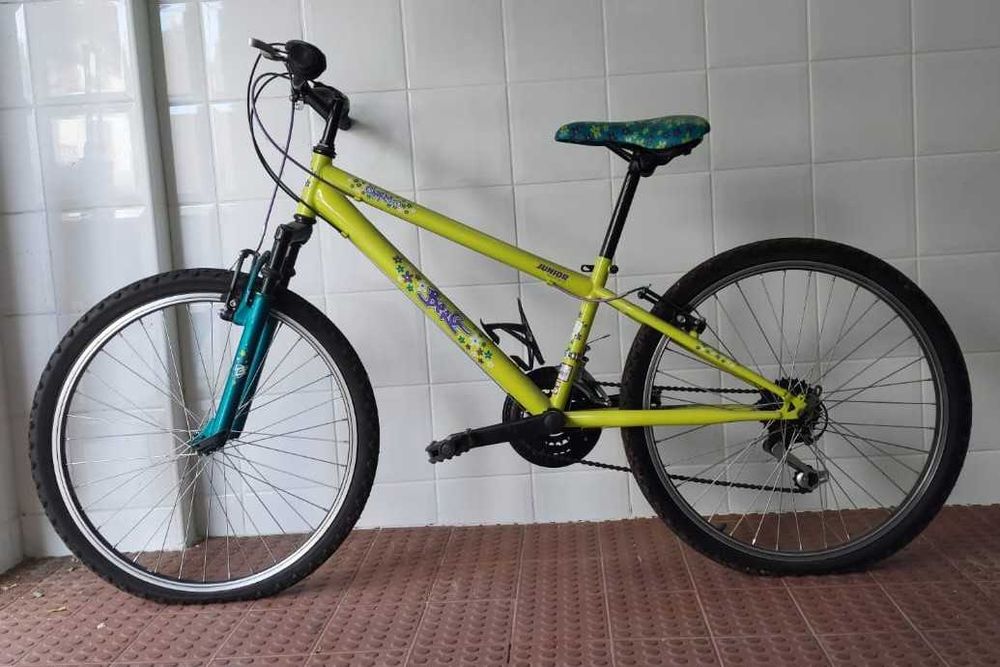 Bicicleta Júnior BERG CHARM 243