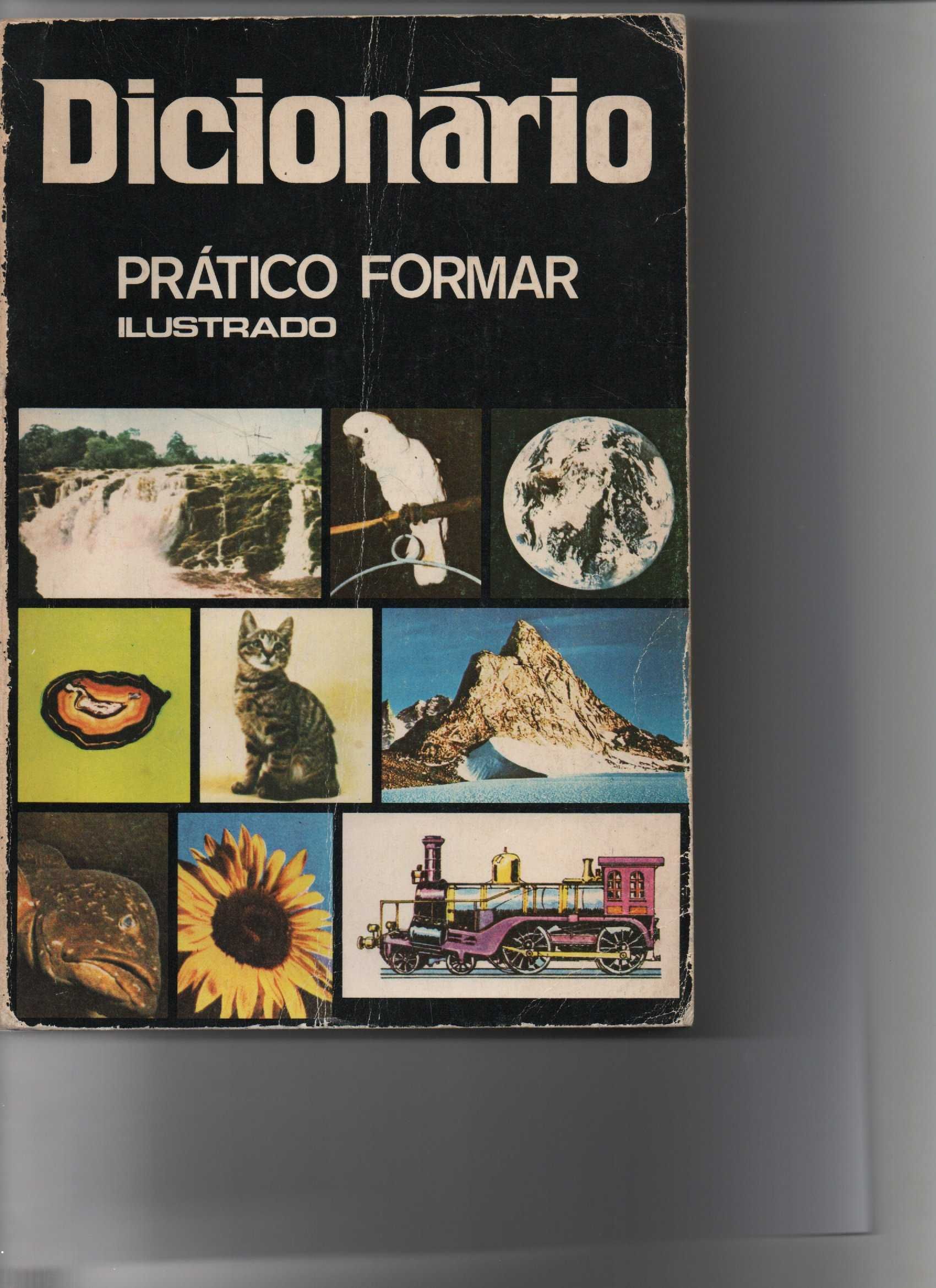 Dicionário Ilustrado Prático Formar