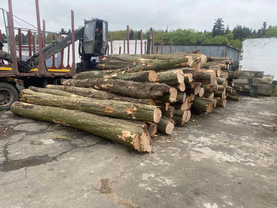 Дрова твердих порід! Дрогобич, Трускавець,Стебник, Борислав, Східниця