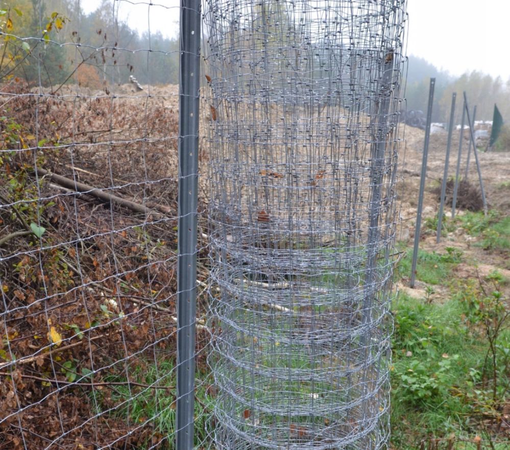 Siatka Ogrodzeniowa Leśna Ogrodowa 50m z Gratisem Budowlana 150/50/30