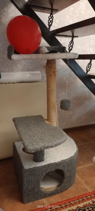 Продам когтеточку для кота