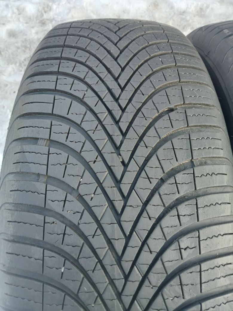 2x Opony Używane 225/65R17 Całoroczne Dębica