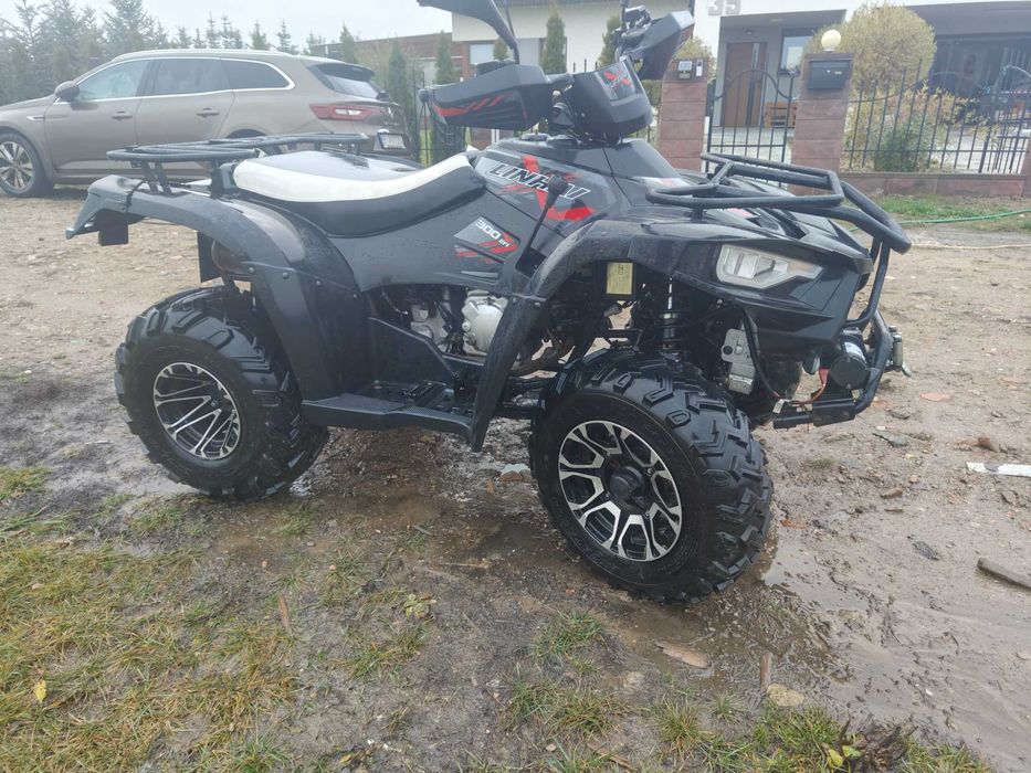 Quad Linhai 300 ProMax 2022