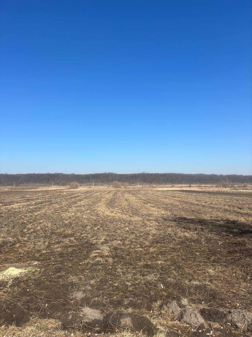 Продаж зем. ділянки під забудову вул.Шевченка в с.Чишки Львівської обл
