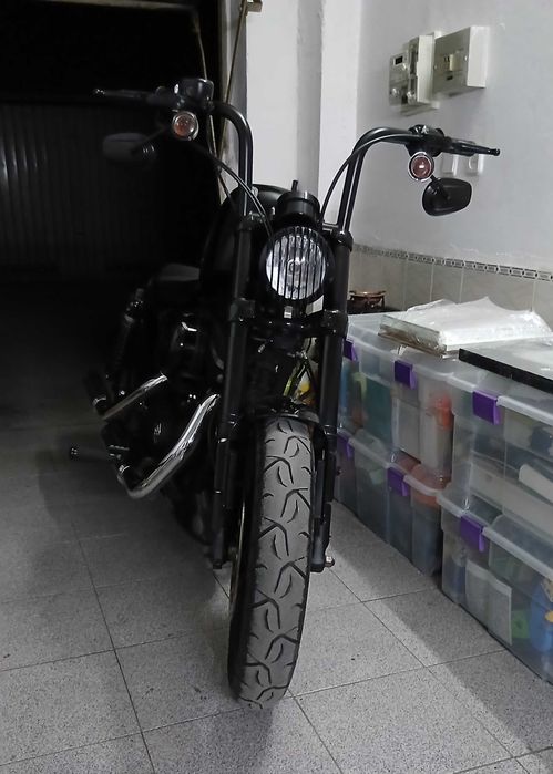 Harley Davidson  Roadster 1200
