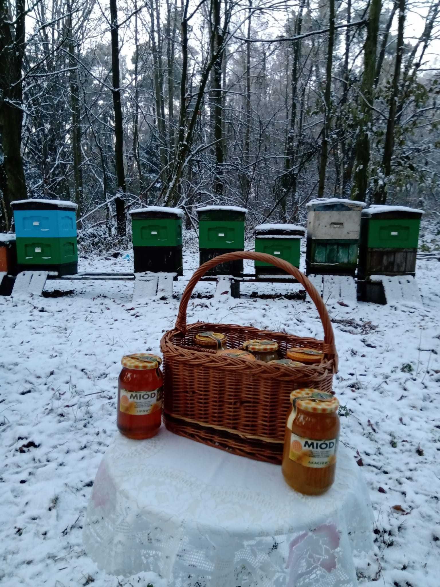 Naturalny miód z polskiej pasieki, pyłek kwiatowy