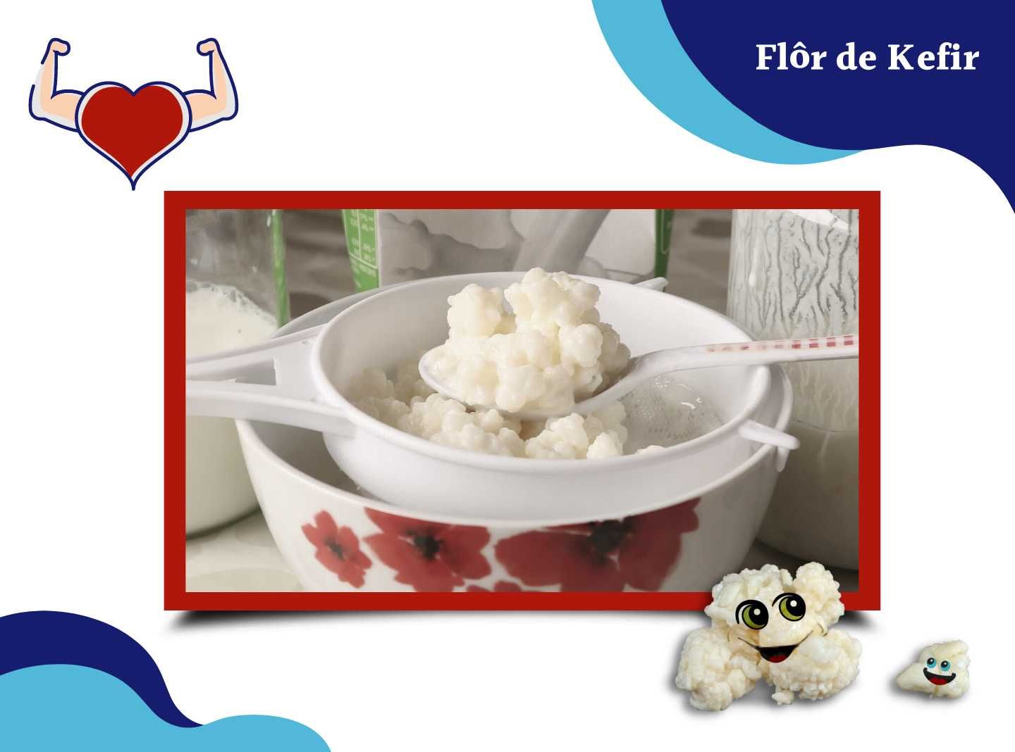 Kefir: o Súper Probiótico que melhora a sua saúde!